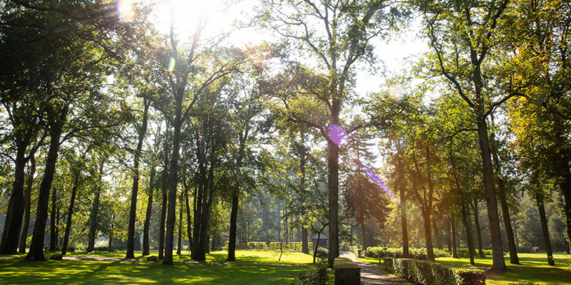 Vigilanter-12 Vigilanter-12